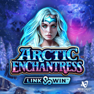 Juego Arctic Enchantress