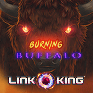 Juego Link King Burning Buffalo