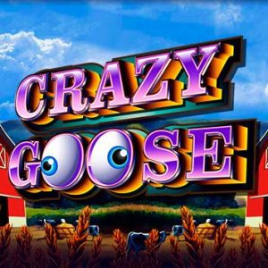 Juego Crazy Goose