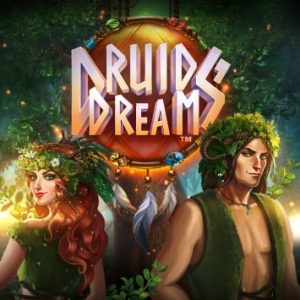 Juego Druids' Dream