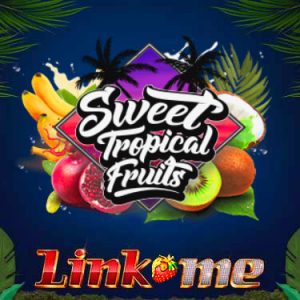 Juego Link Me Sweet Tropical Fruits