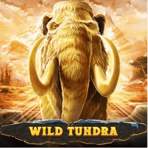 Juego Wild Tundra