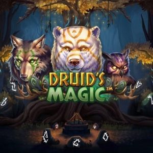 Juego Druid’s Magic