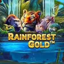Juego Rainforest Gold